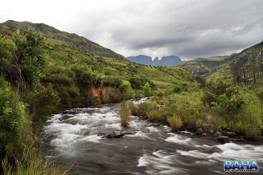 The Delumniwazini River, Injisuthi