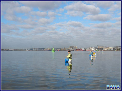 Baha/DFT Harbour Outing