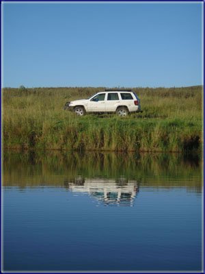 A Tough Mornings Trout Fishing