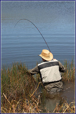 Kamberg Sight Fishing